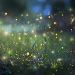 ass粉嫩小泬Pics图片
